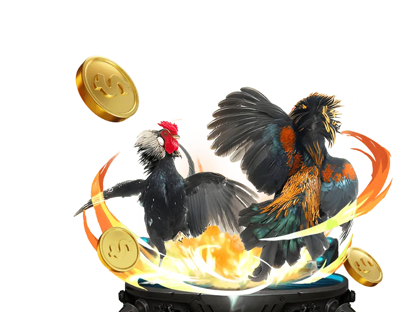 Quy trình giải quyết tranh chấp của Bibet Link Vào